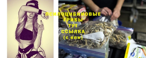 прущие крисы Балабаново