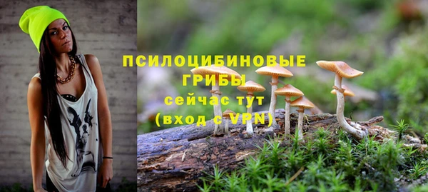тгк Баксан