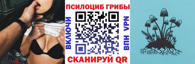 закладки  мориарти какой сайт  Галлюциногенные грибы Psilocybe  Усть-Джегута 